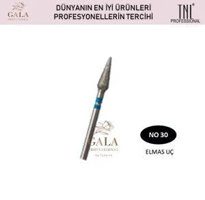 ELMAS UÇLAR