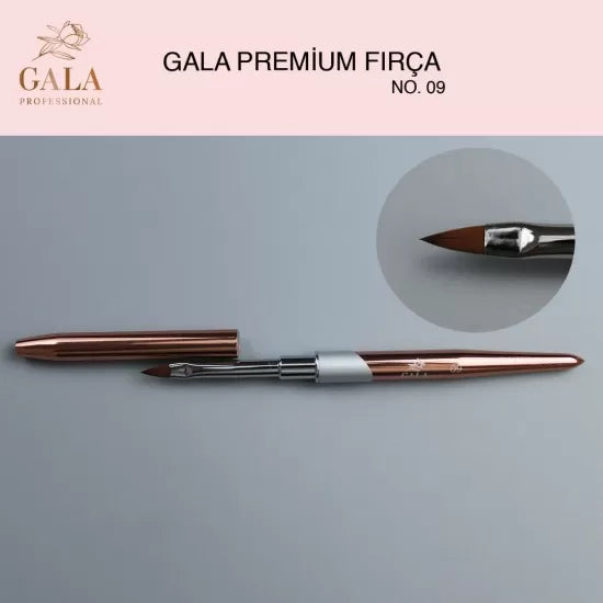 Fırçalar